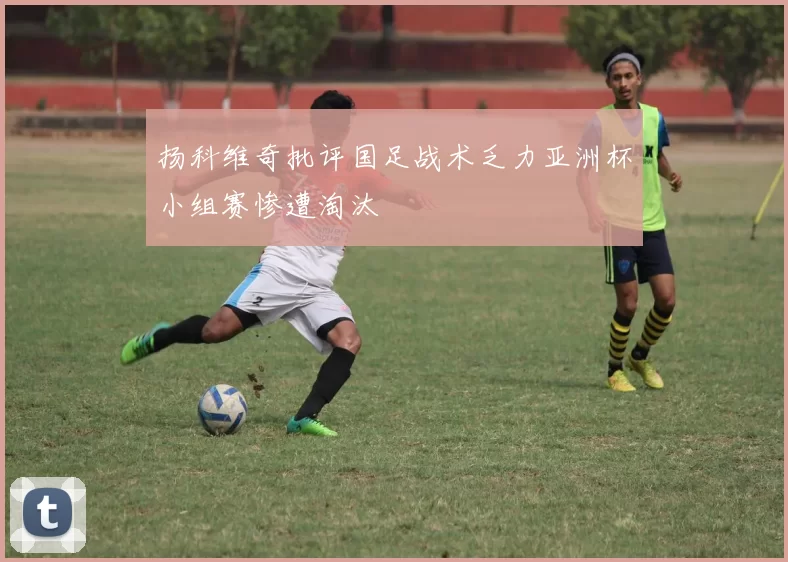 扬科维奇批评国足战术乏力亚洲杯小组赛惨遭淘汰