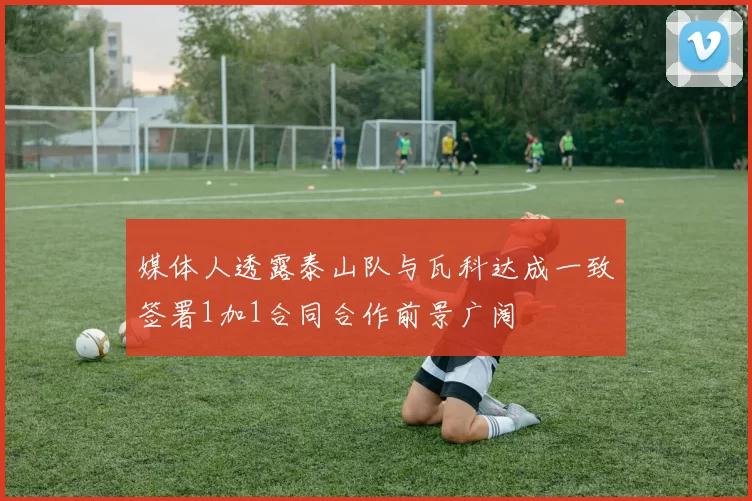 媒体人透露泰山队与瓦科达成一致签署1加1合同合作前景广阔
